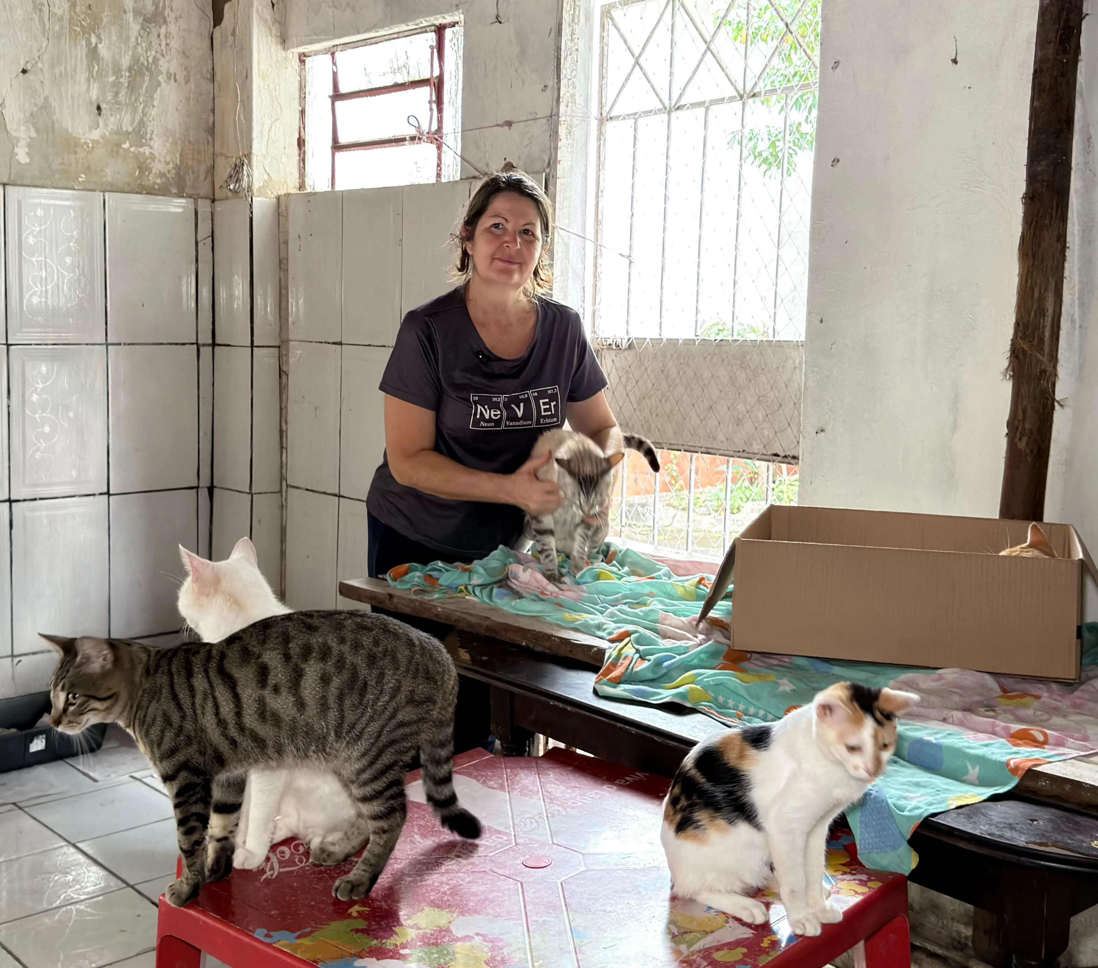 Photos from the shelter 1
