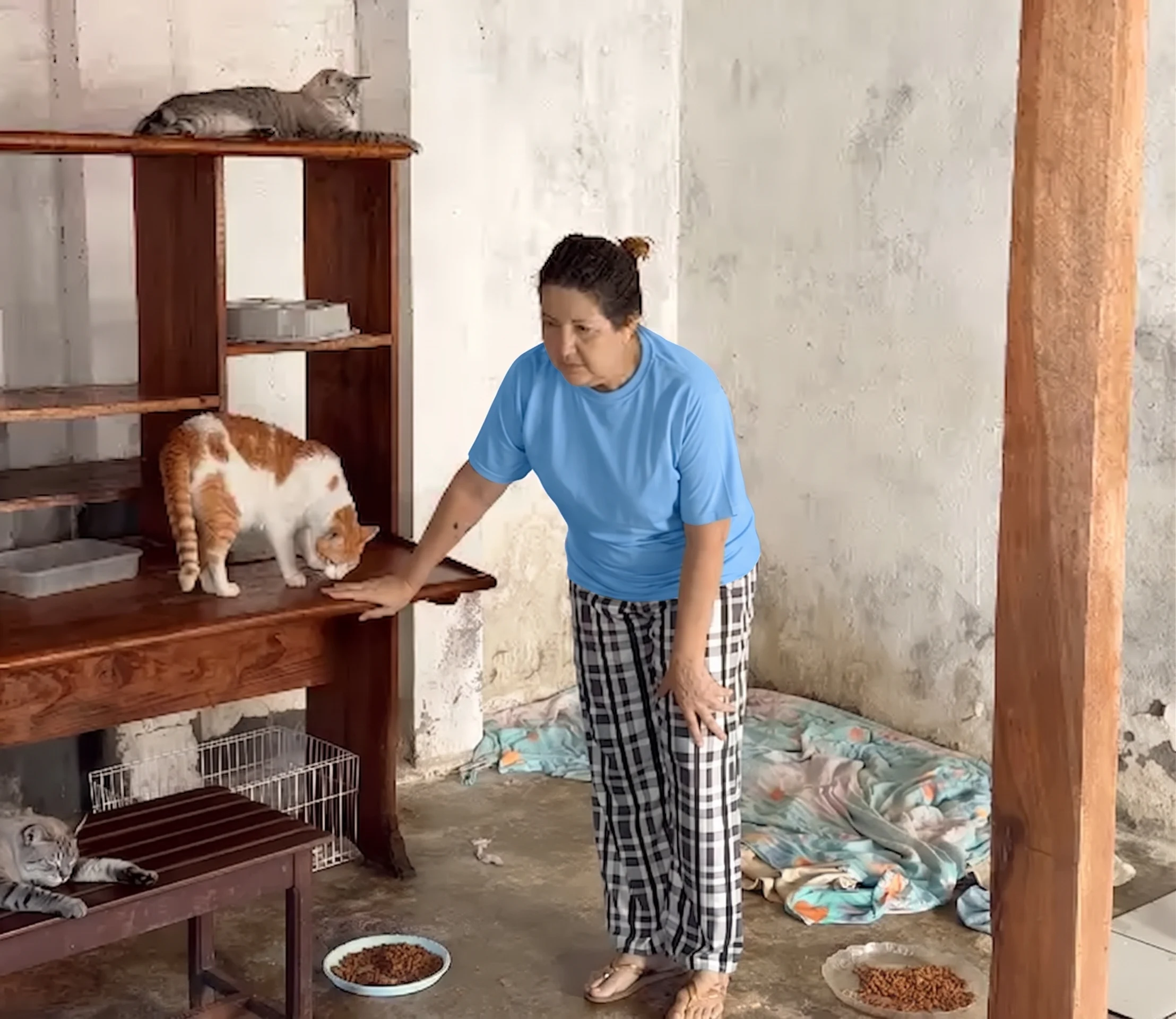 Photos from the shelter 2