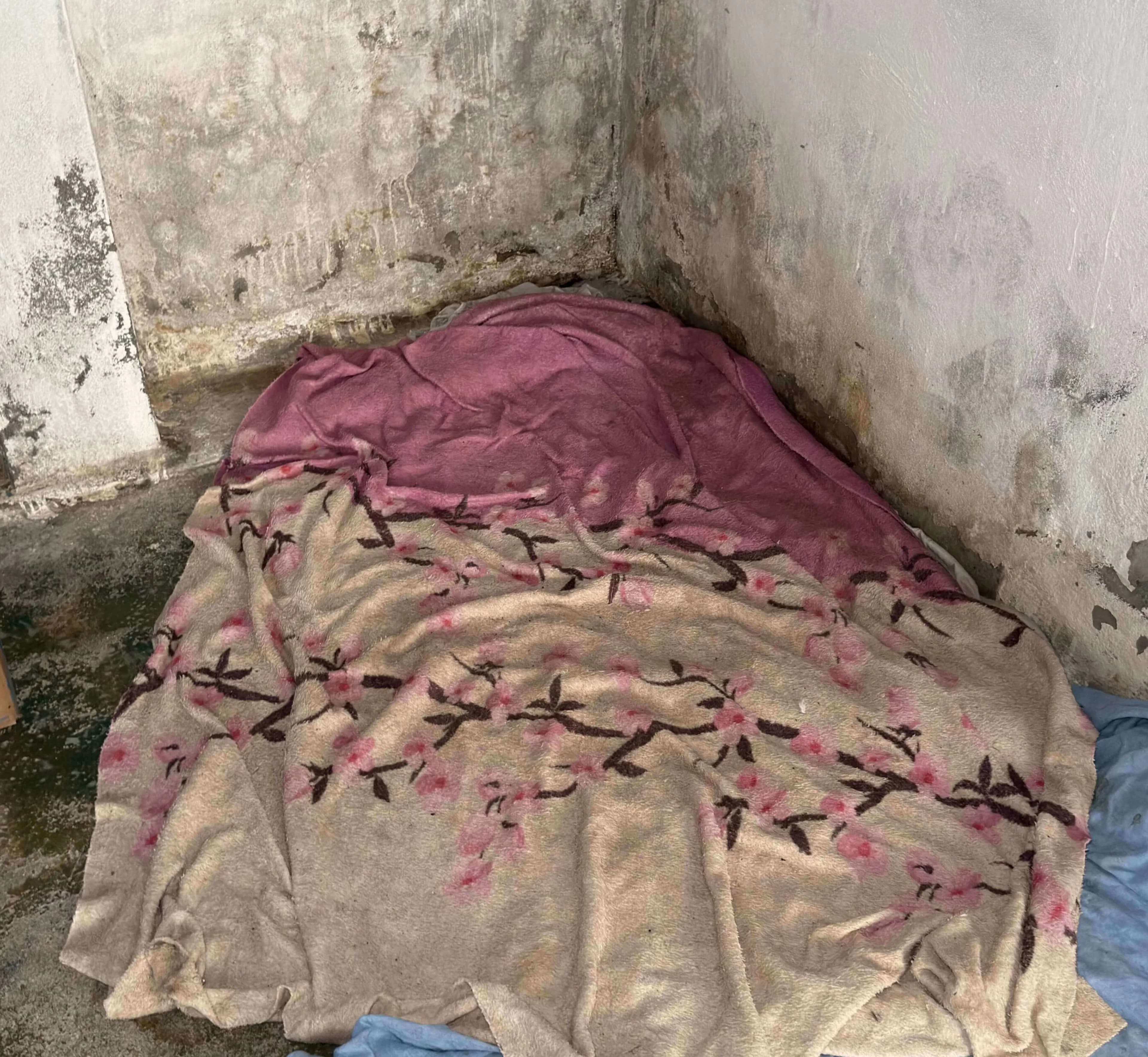 Photos from the shelter 7